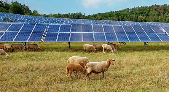 pi teaser vorteile bodenregenation