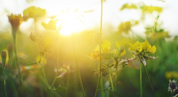 pi teaser vorteile umweltschutz